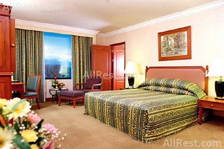 Radisson Hotel Bangkok 4